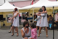 2011falunap