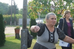 81