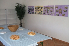 dscf3908
