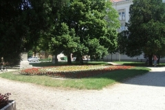29_1