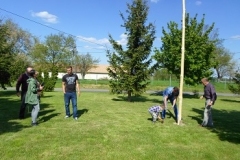 sam_1653