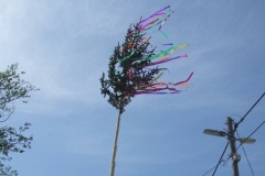 dscf4506
