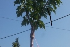 p1010420