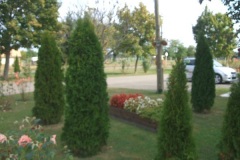 dscf4426